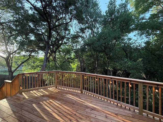 10800 Sea Hero Ct, Austin, TX 78748 - photo 30