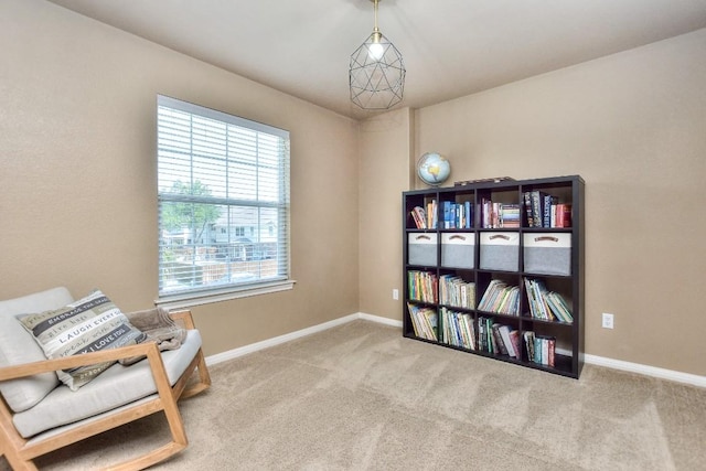 458 Logan Rd, Georgetown, TX 78628 - photo 29