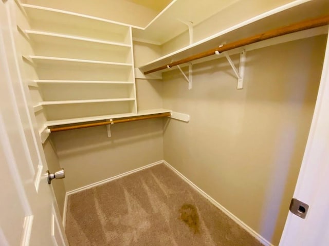 3304 Kissman Dr, Austin, TX 78728 - photo 35