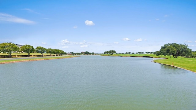 25308 Cliff Xing, Spicewood, TX 78669 - photo 15