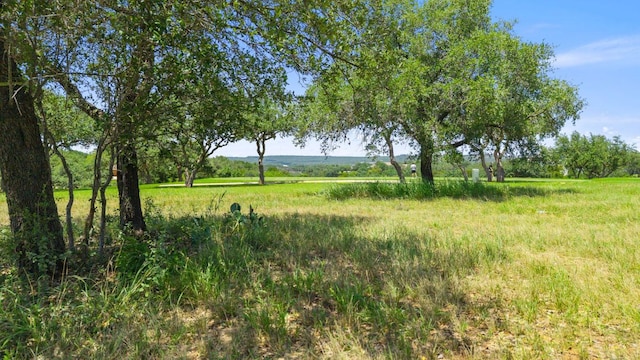 25308 Cliff Xing, Spicewood, TX 78669 - photo 2