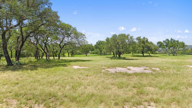 25308 Cliff Xing, Spicewood, TX 78669 - photo 9