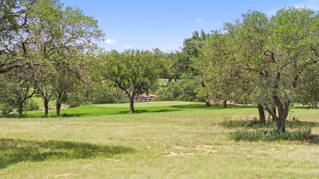 25308 Cliff Xing, Spicewood, TX 78669 - photo 10