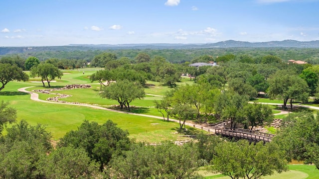 25308 Cliff Xing, Spicewood, TX 78669 - photo 11