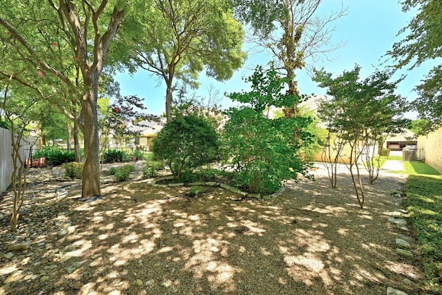 125 Melissa Ct, Georgetown, TX 78628 - photo 28