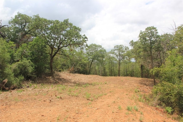 107 Kalihi Ct, Bastrop, TX 78602 - photo 4