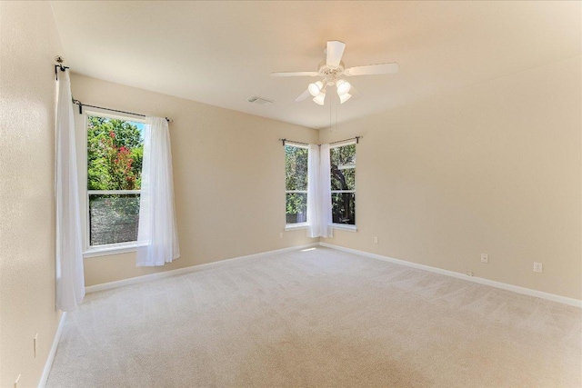 12701 Appaloosa Chase Dr, Austin, TX 78732 - photo 11