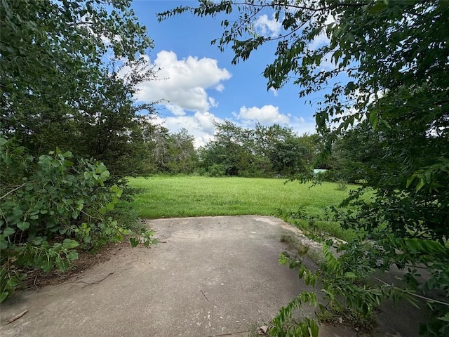 133 Old Firetower Rd, Bastrop, TX 78602 - photo 6