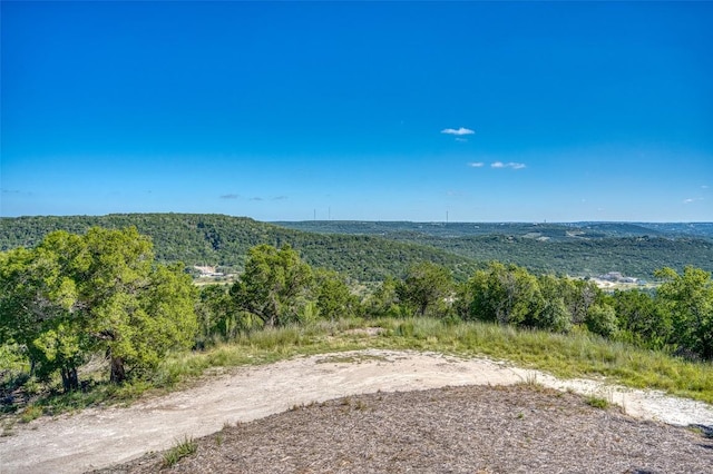 8621 Nina Ln, Jonestown, TX 78645 - photo 35