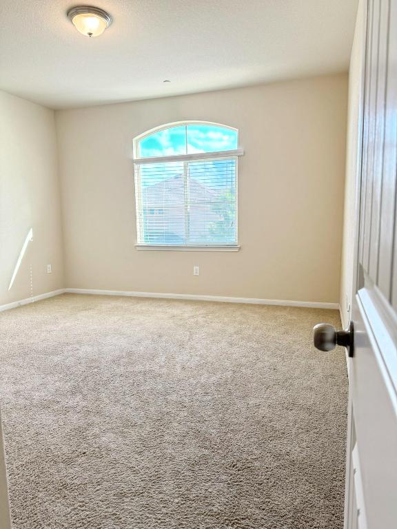 2880 Donnell Dr Unit 1502, Round Rock, TX 78664 - photo 12