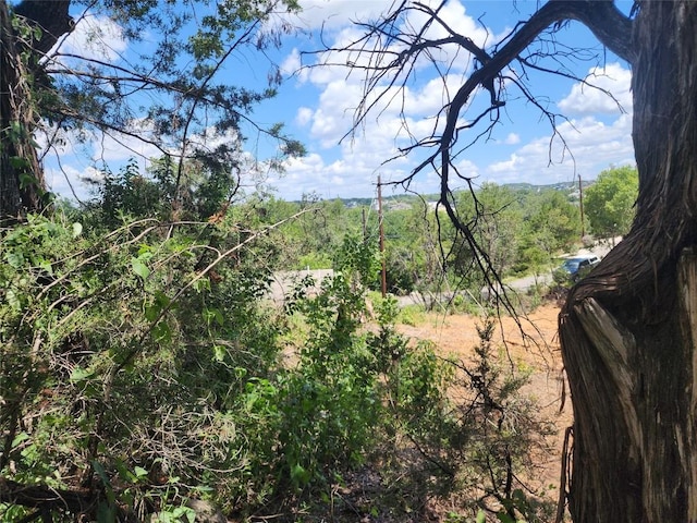 14423 Hunters Pass, Austin, TX 78734 - photo 8