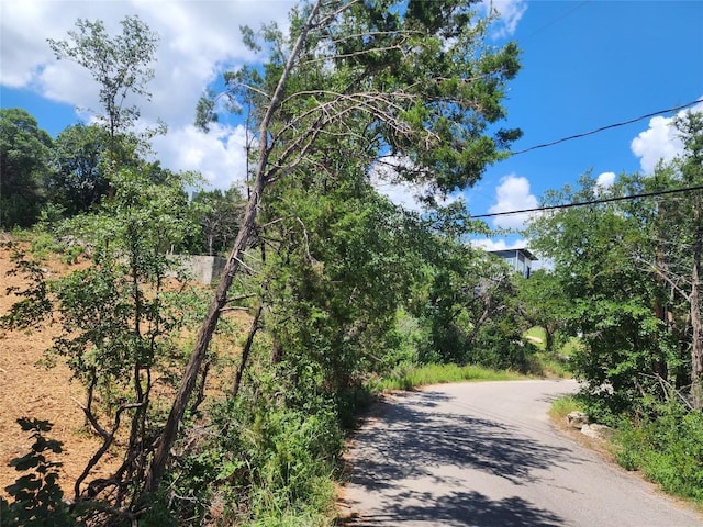 14423 Hunters Pass, Austin, TX 78734 - photo 12