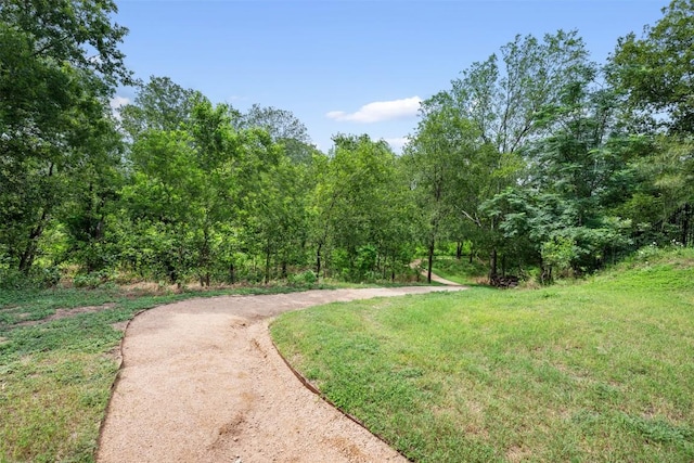 2524 Winchell Ln, Austin, TX 78725 - photo 38