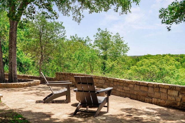 12532 Triple Creek Dr, Dripping Springs, TX 78620 - photo 34