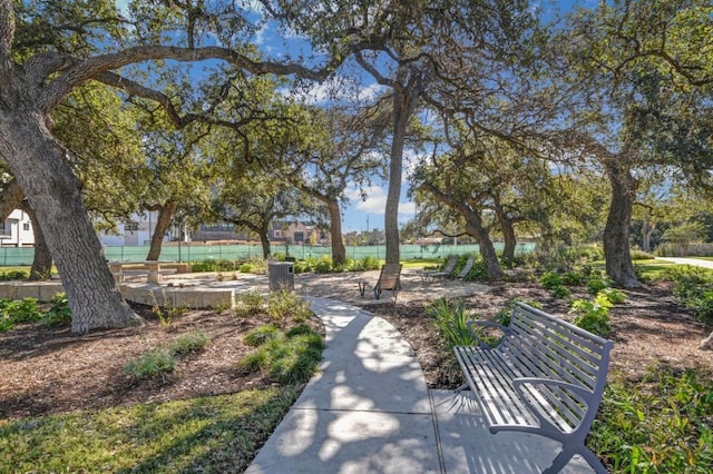4110 Wayfarer Way, Austin, TX 78731 - photo 36