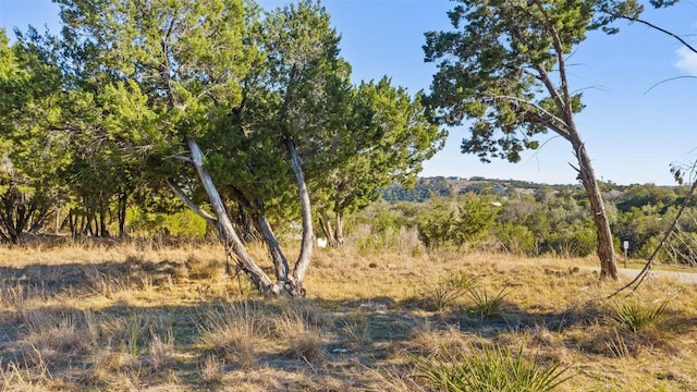 18509 Flying J Blvd, Spicewood, TX 78669 - photo 15