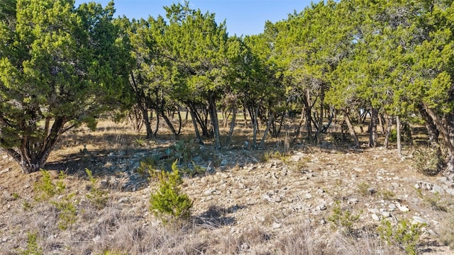 18509 Flying J Blvd, Spicewood, TX 78669 - photo 16