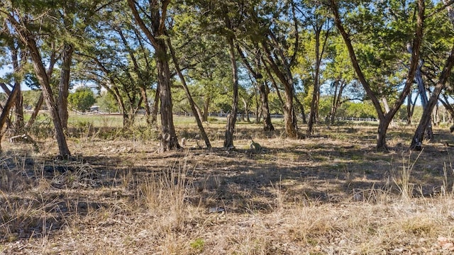 18509 Flying J Blvd, Spicewood, TX 78669 - photo 18