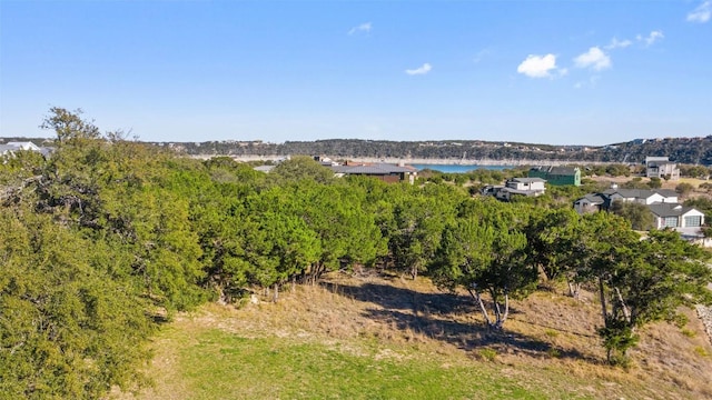 18509 Flying J Blvd, Spicewood, TX 78669 - photo 8