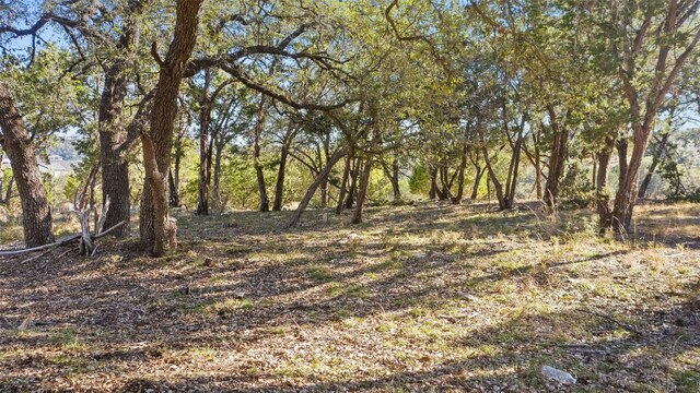 18509 Flying J Blvd, Spicewood, TX 78669 - photo 9