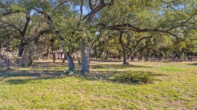 18509 Flying J Blvd, Spicewood, TX 78669 - photo 11