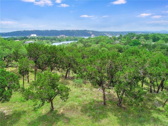 18509 Flying J Blvd, Spicewood, TX 78669 - photo 34