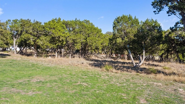 18509 Flying J Blvd, Spicewood, TX 78669 - photo 14