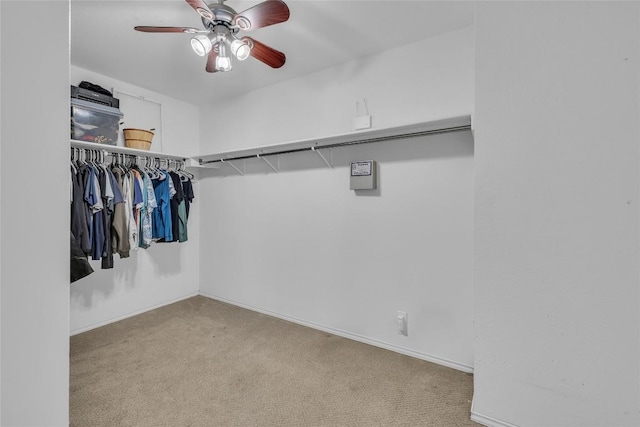 114 Cypress Ct, San Marcos, TX 78666 - photo 31