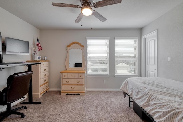 19028 Quebrada Dr, Pflugerville, TX 78660 - photo 22