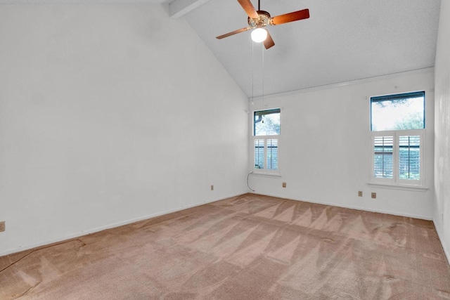 5900 Abilene Trl, Austin, TX 78749 - photo 20