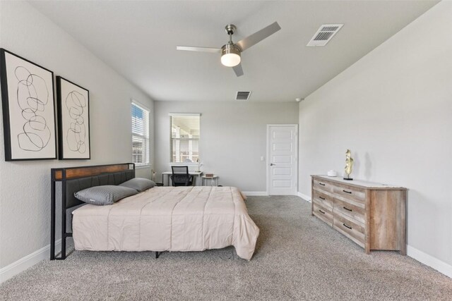 18000 Trieste Dr, Pflugerville, TX 78660 - photo 22