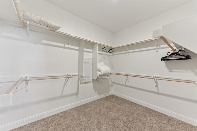 18000 Trieste Dr, Pflugerville, TX 78660 - photo 27