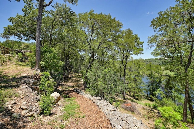 24240 Spur Trl, Spicewood, TX 78669 - photo 24