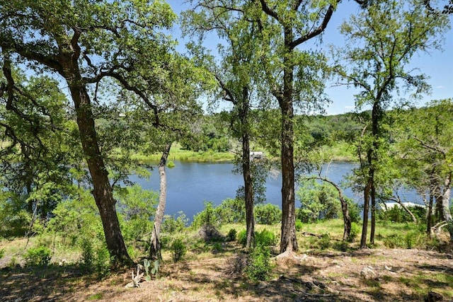 24240 Spur Trl, Spicewood, TX 78669 - photo 25