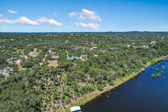 24240 Spur Trl, Spicewood, TX 78669 - photo 29