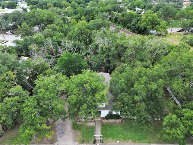 262 W Richmond St, Giddings, TX 78942 - photo 36