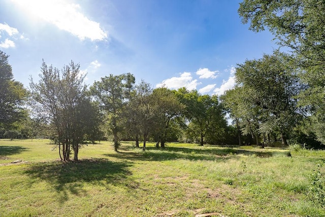 142 Moore Ln, Elgin, TX 78621 - photo 25