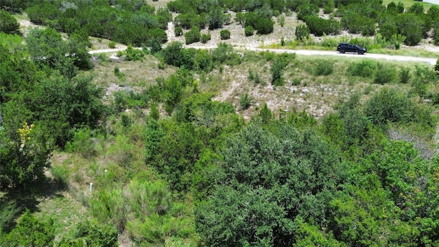 15102 Warbler Dr, Austin, TX 78734 - photo 5