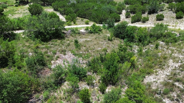 15102 Warbler Dr, Austin, TX 78734 - photo 7