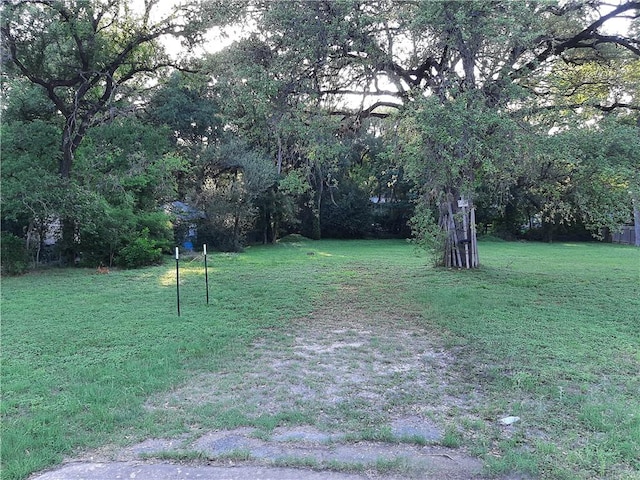 2008 Winsted Ln, Austin, TX 78703 - photo 1