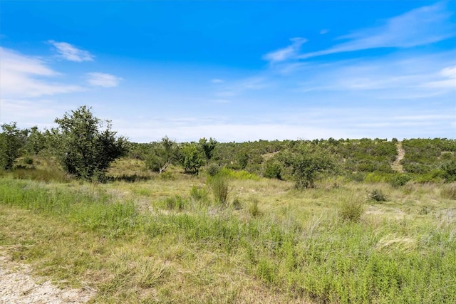 TBD Lookout Mountain Rd, Johnson City, TX 78636 - photo 3