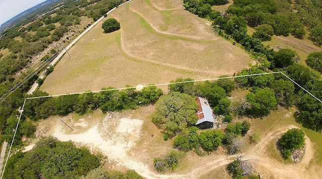 10620 County Road 404th Rd, Spicewood, TX 78669 - photo 1