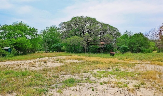10620 County Road 404th Rd, Spicewood, TX 78669 - photo 4