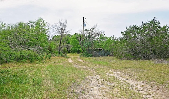 10620 County Road 404th Rd, Spicewood, TX 78669 - photo 5