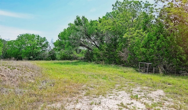 10620 County Road 404th Rd, Spicewood, TX 78669 - photo 7