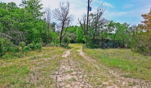 10620 County Road 404th Rd, Spicewood, TX 78669 - photo 8