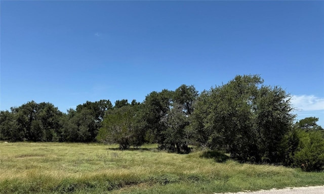 113 N John Bird St, Blanco, TX 78606 - photo 4