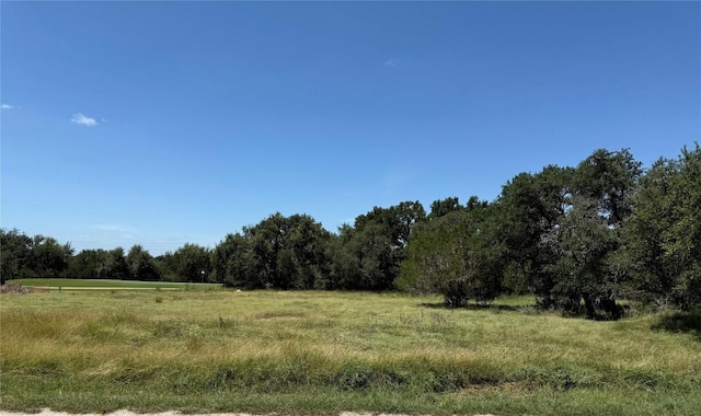 113 N John Bird St, Blanco, TX 78606 - photo 5