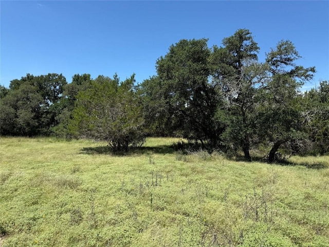 113 N John Bird St, Blanco, TX 78606 - photo 7