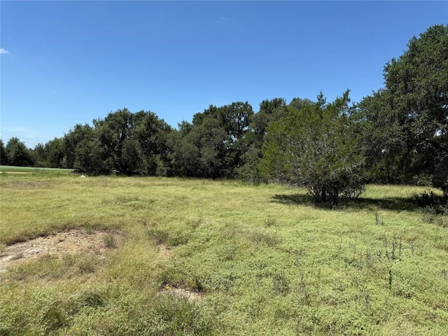 113 N John Bird St, Blanco, TX 78606 - photo 9